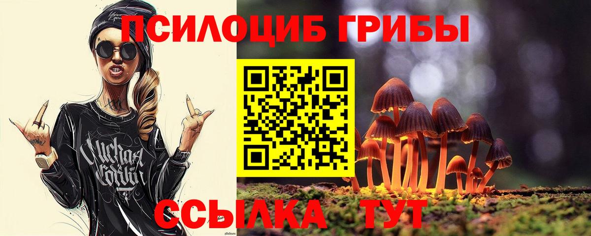 Псилоцибиновые грибы мухоморы Вязьма