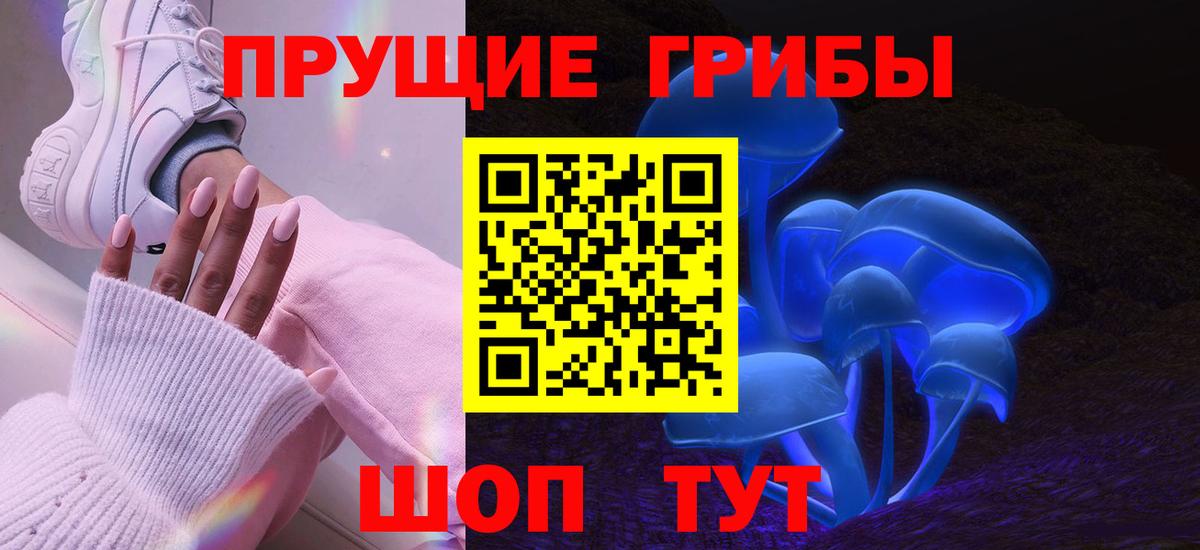 Вязьма  закладка  Галлюциногенные грибы Cubensis  Вход с VPN  Псилоцибиновые грибы MAGIC MUSHROOMS 